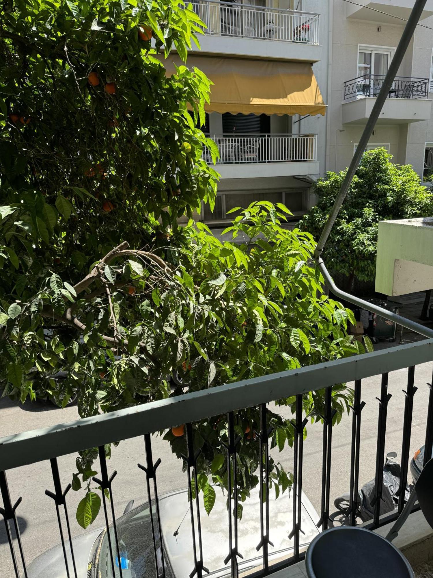 Cozy Apt Next To Acropolis Athens Ngoại thất bức ảnh